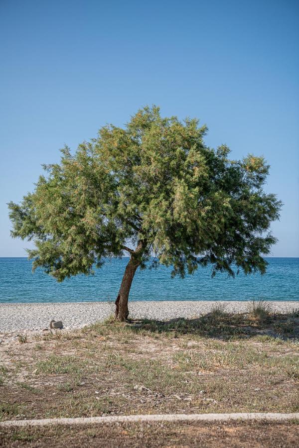 Calmaliving Seaside With Pool Apartment Gerani (Chania)